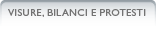 visure, bilanci, protesti