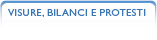 visure, bilanci, protesti