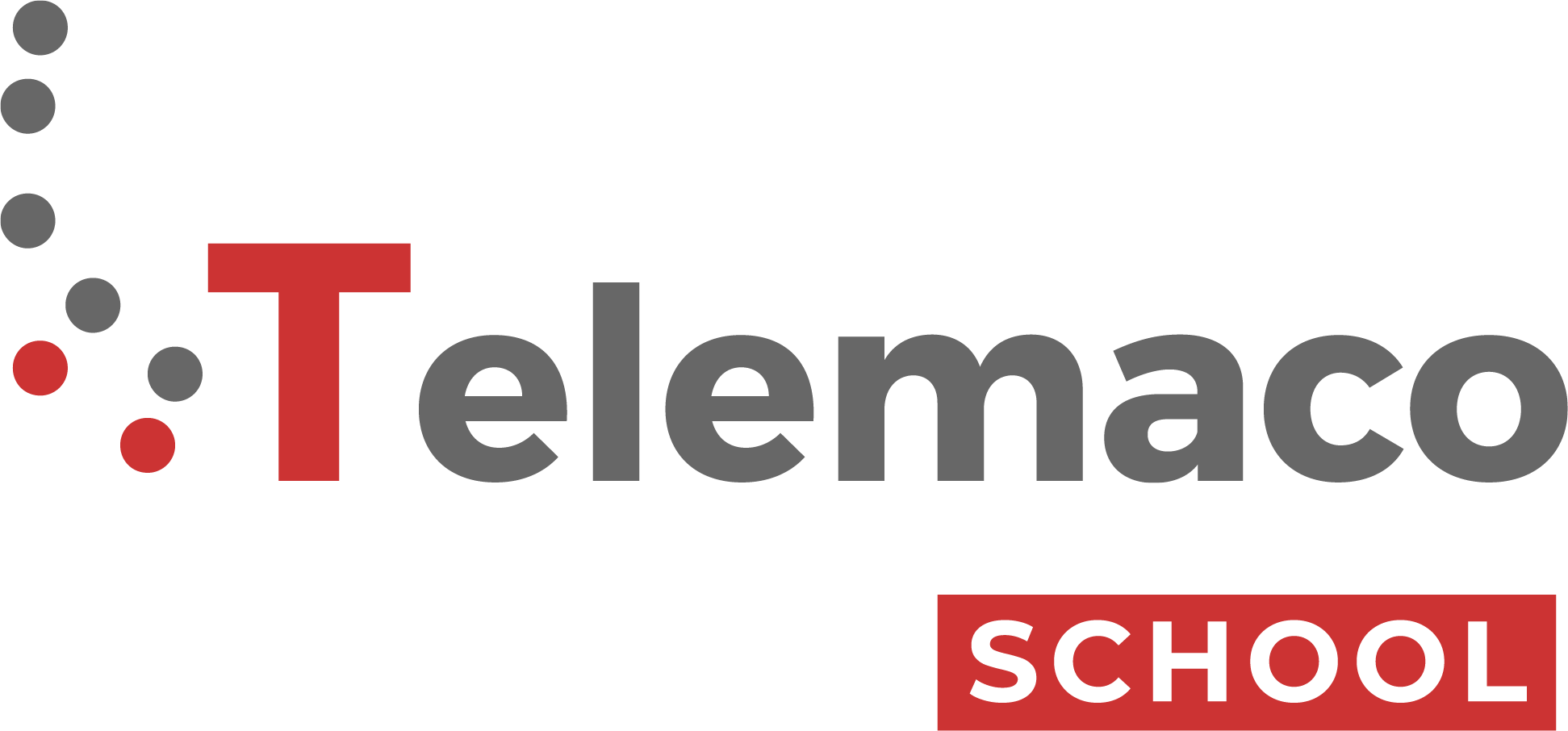 Webinar Telemaco School