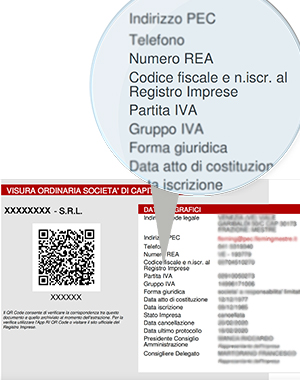 Il numero REA, il numero di iscrizione al Registro Imprese delle Camere di Commercio, Codice Fiscale, si trovano nella sezione “Dati Anagrafici” della Visura Camerale