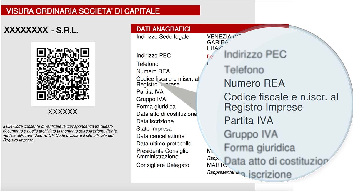 Codice Fiscale Partita Iva Numero Rea Registro Imprese